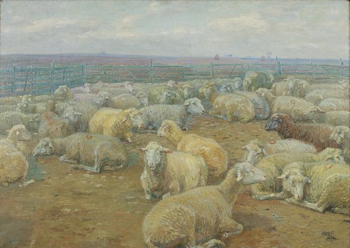 Schafpark, 1904, Rudolf Konopa
