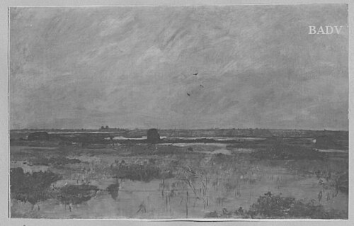 Moorlandschaft, 1873, Rudolf Ribarz