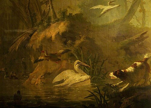 A Wooded River Bank with a Spaniel Barking at a Pelican and Other Birds (detail), 1770, Aert Schouman