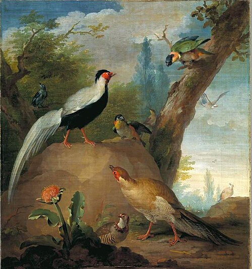 Vogels, schildering uit Keizersgracht 444-446, 1750, Aert Schouman