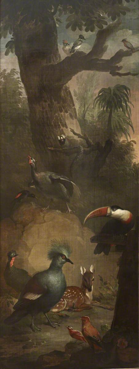 Roe Deer, Marmoset, Toucan and other Birds, 1761, Aert Schouman
