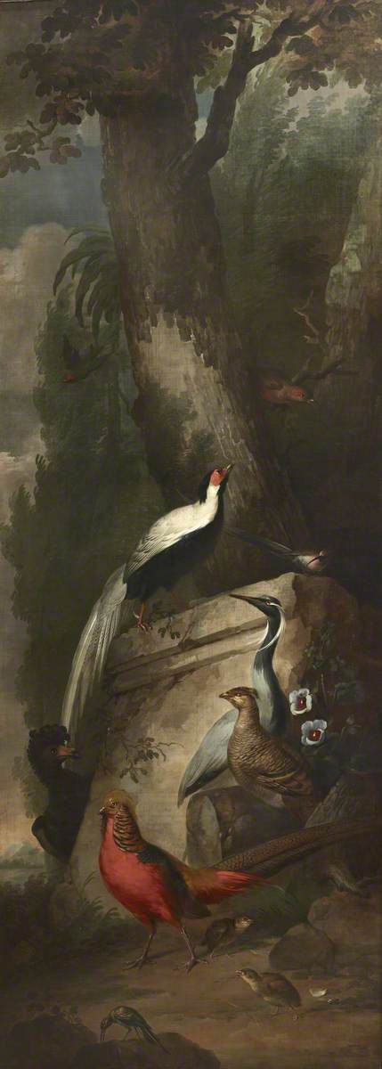 Red, Gold and Silver Pheasants and a Crane, 1761, Aert Schouman