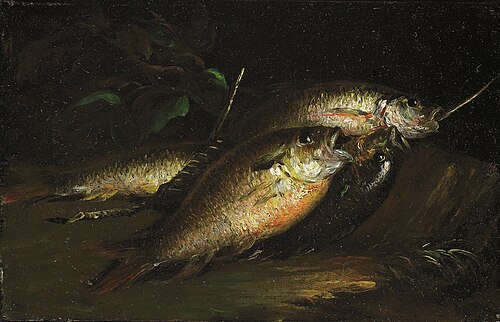 Fish, 1842, Shepard Alonzo Mount