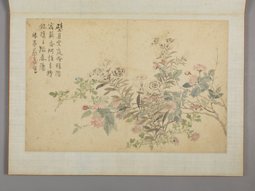 蔡嘉花卉图册, , Cai Jia