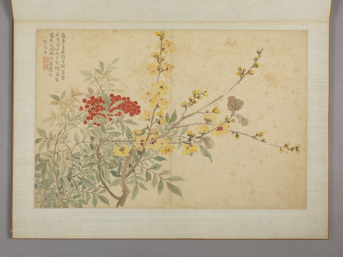 蔡嘉花卉图册, , Cai Jia