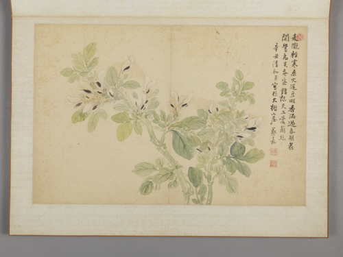 蔡嘉花卉图册, , Cai Jia