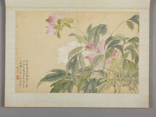 蔡嘉花卉图册, , Cai Jia