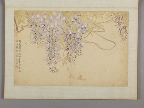 蔡嘉花卉图册, , Cai Jia