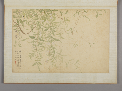 蔡嘉花卉图册, , Cai Jia