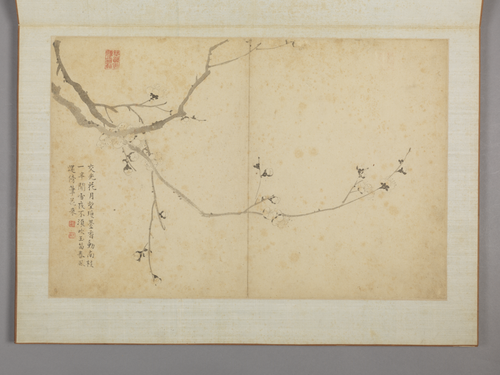 蔡嘉花卉图册, , Cai Jia