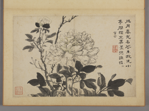 蔡嘉花卉图册, , Cai Jia