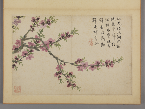 蔡嘉花卉图册, , Cai Jia