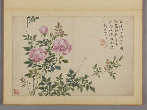 蔡嘉花卉图册, , Cai Jia