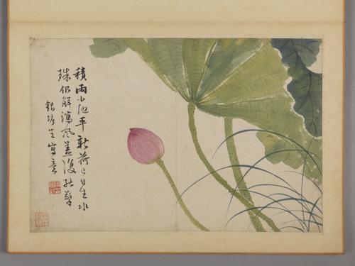 蔡嘉花卉图册, , Cai Jia