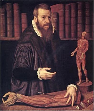Portrait of the Nuremberg city doctor and anatomist Volcher Coiter (1534-1576), 1575, Nicolas, the elder Juvenel