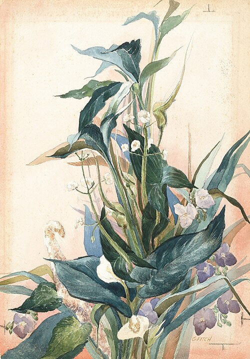 Flower Arrangement, 1940, Gladys Kelley Fitch