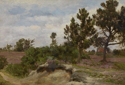 A Dune Landscape, , Alfred Elsen