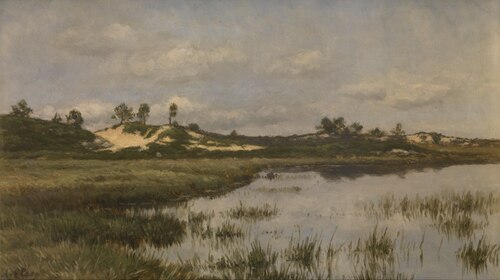Marsh in the Heath, , Alfred Elsen