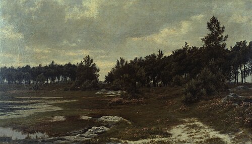 Heath Landscape in the Kempen, , Alfred Elsen