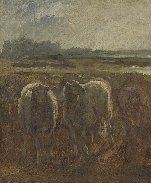 Schapen, , Constant Troyon