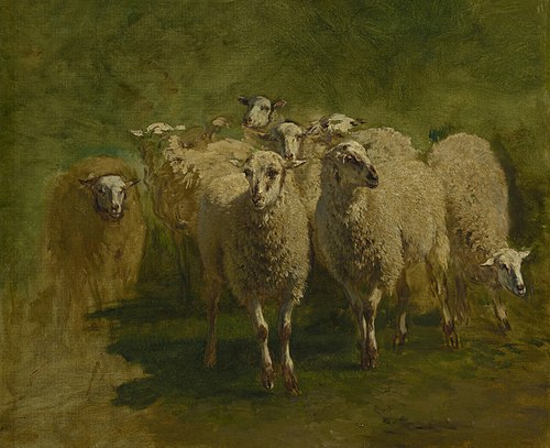 Sheep, 1854, Constant Troyon
