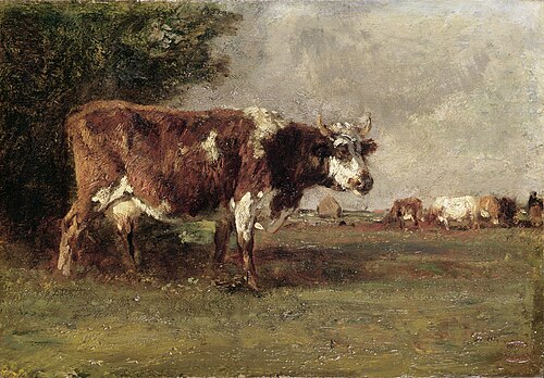 Grazing Cows, , Constant Troyon