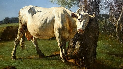 Vache qui se gratte, , Constant Troyon
