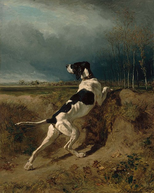 Hound Pointing, 1860, Constant Troyon