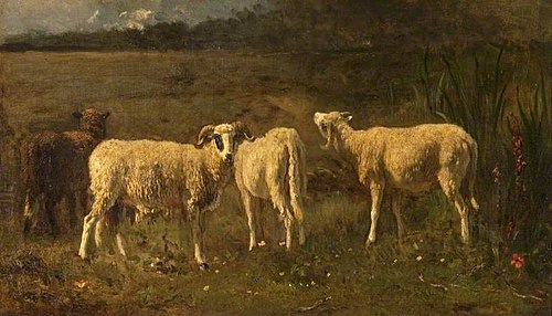 Sheep, 1855, Constant Troyon