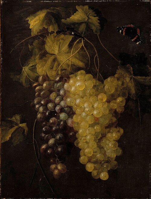 Two bunches of grapes, , Thomas de Paep