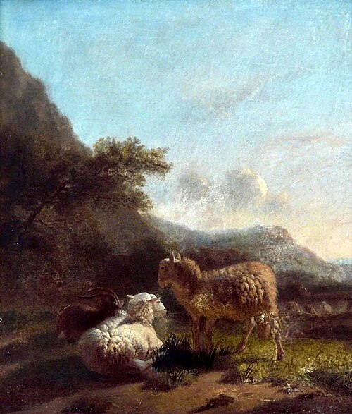 Sheep, , Balthasar Ommeganck