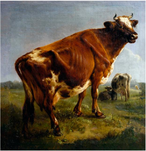 A cow, 1798, Balthasar Ommeganck