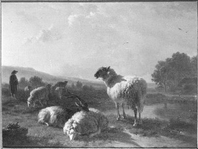 Schapen, 1805, Balthasar Ommeganck
