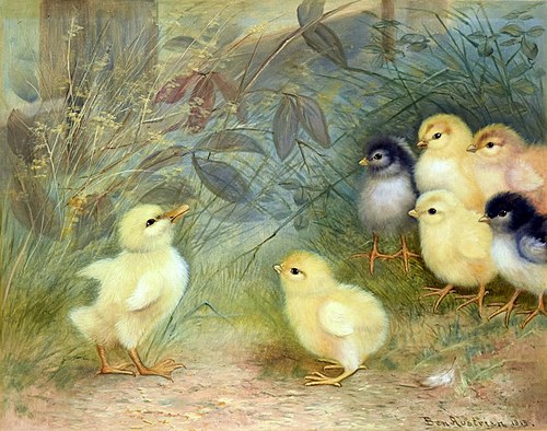 You Don't Belong to Our Crowd, 1913, Ben Austrian