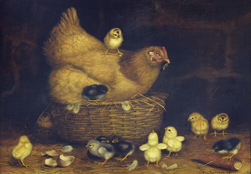 Hen with Twelve Chicks, 1900, Ben Austrian