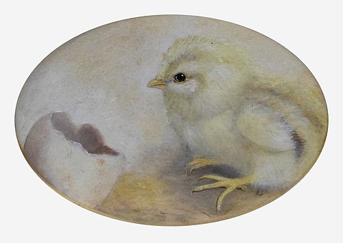 Chick with Egg Shell, 1905, Ben Austrian