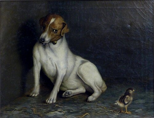 Shame on You, 1906, Ben Austrian