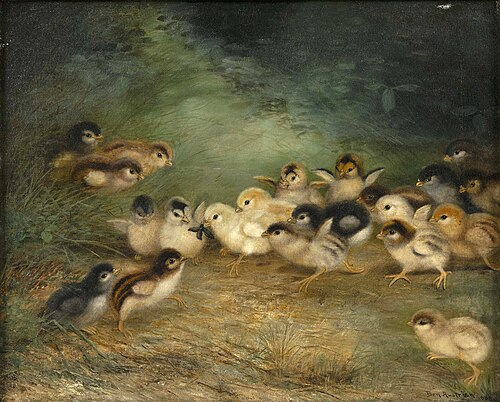 Twenty-one Chicks and a Bug, 1908, Ben Austrian