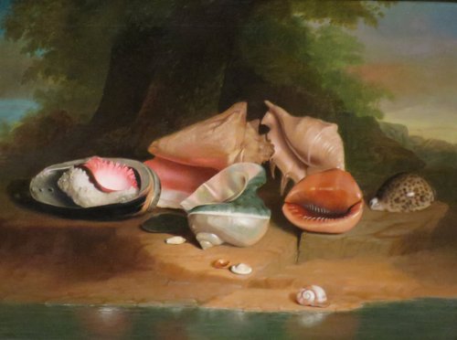 Still Life with Shells, 1840, Joseph Biays Ord