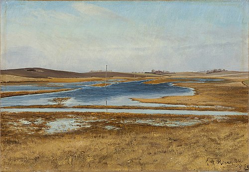 A flooded meadow. Hills in the background. Sunshine., 1893, Laurits Andersen Ring