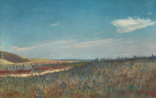 Mark med blomstrende slangehoveder. Frederiksværk, 1901, Laurits Andersen Ring