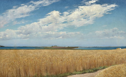 Sommerdag på Enø. En mark med modent korn i forgrunden, 1913, Laurits Andersen Ring