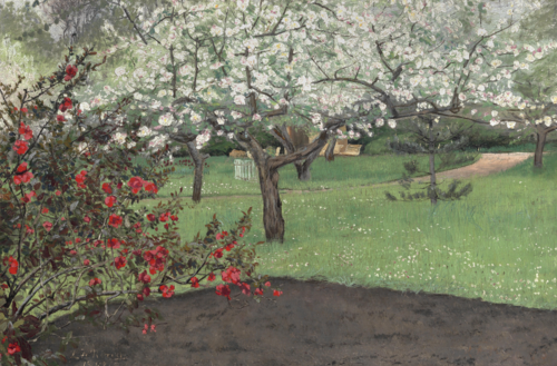 Chaenomeles japonica and apple trees in bloom, 1893, Laurits Andersen Ring