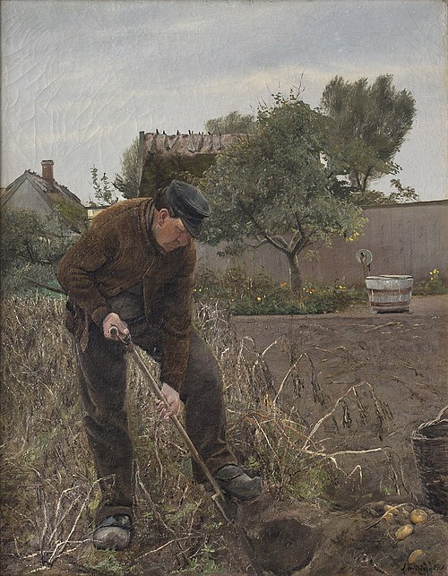 En mand som graver kartofler, 1901, Laurits Andersen Ring