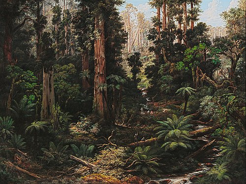 In the Sassafras Valley, Victoria, 1875, Isaac Whitehead