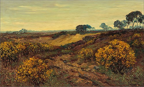 Blooming Broom, 1897, Anton Dirckx
