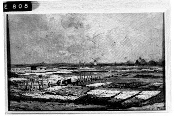 Bloembollenveld met op de achtergrond duinen, 1913, Anton Dirckx