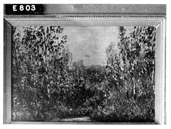 Berkebomen, 1913, Anton Dirckx