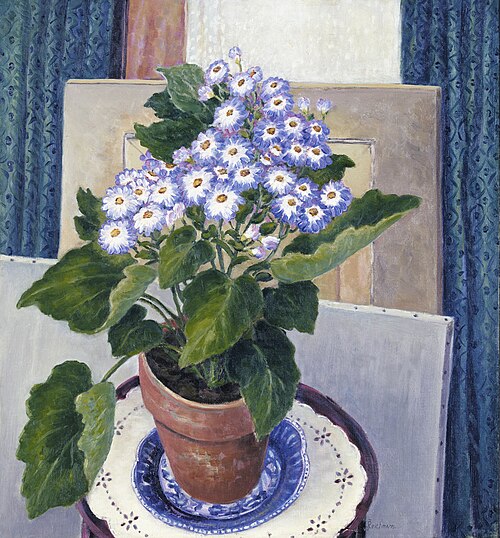 Cineraria, 1933, Josephine L. Reichmann