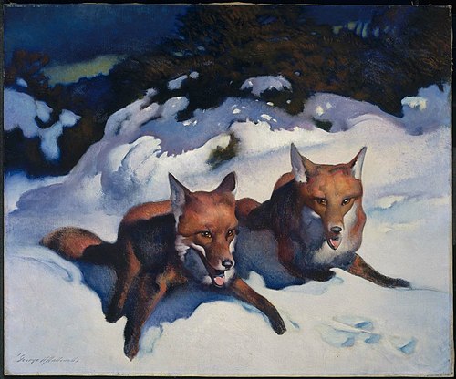 Two Foxes, 1923, George Hawley Hallowell